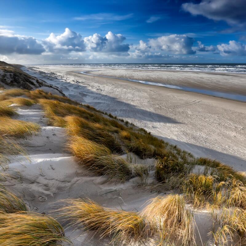 Duinen en strand