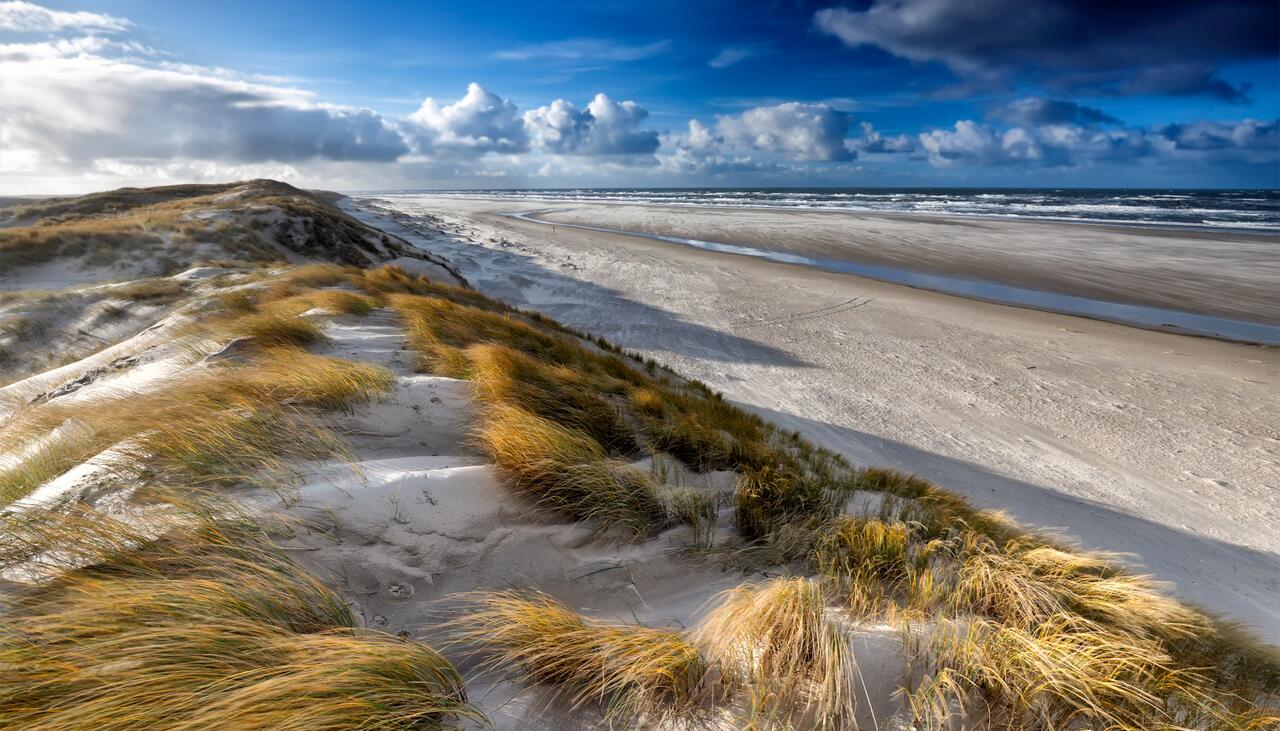 Duinen en strand